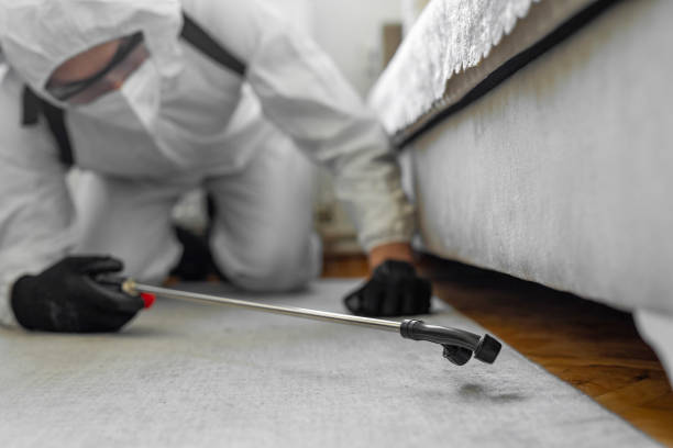 Professional Ant Control technician working in Somerset, TX