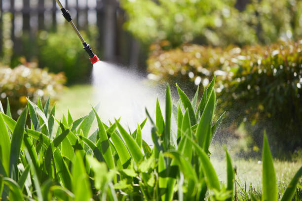 24/7 Emergency Ant Control experts in Somerset, TX