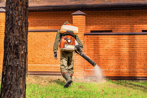 Trusted Cockroach Control service in Somerset, TX - Nex Pest Control